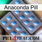 Anaconda Pill viagra4